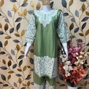 Ari Work Rayon-Cotton Cord Sets with Embroidered Trousers #3