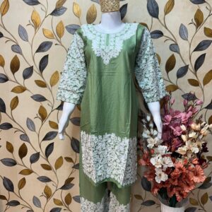 Ari Work Rayon-Cotton Cord Sets with Embroidered Trousers #3