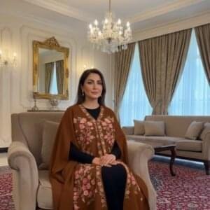 Kashmiri Woollen Cape Shawl with Hand Ari Embroidery - Coffee